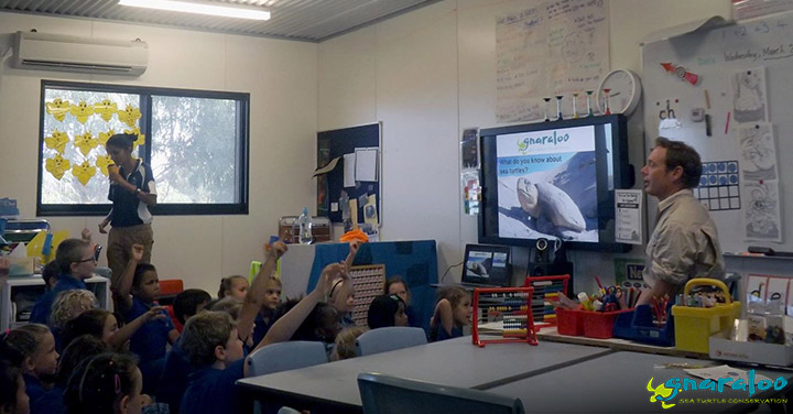 Sea turtle school presentation in Western Australia