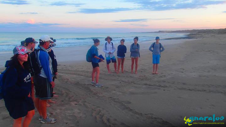 Researcher Careena showing green turtle tracks to students at the Gnaraloo Bay Rookery