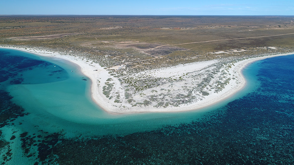 The GWF calls for Gnaraloo Bay and Gnaraloo Cape Farquhar to be recognized in legislation as turtle nesting sanctuaries.