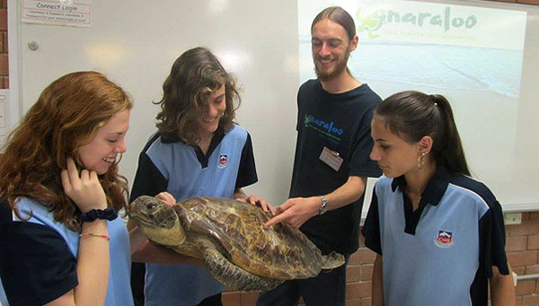 Sea turtle educational presentation in Australia