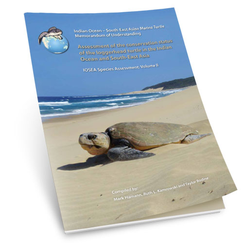 Assessment of the conservation status of the loggerhead turtle in the indian ocean and south east asia Assessment of the conservation status of the loggerhead turtle in the indian ocean and south east asia