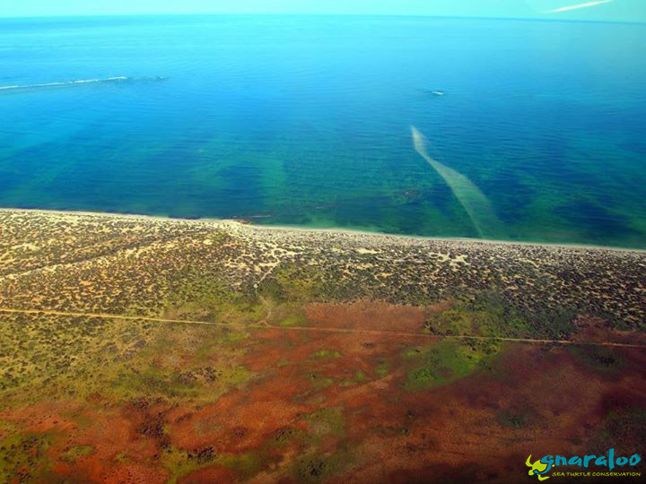 Aerial view of the Gnaraloo coastline