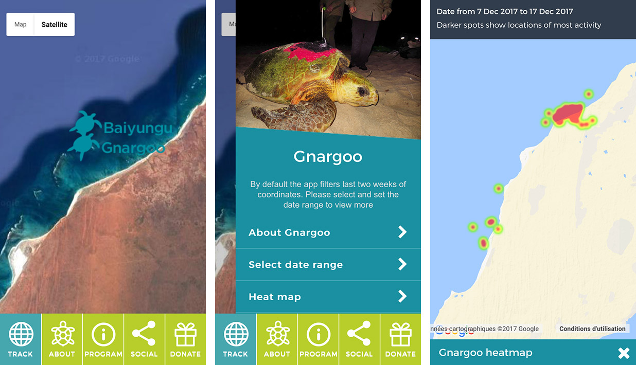 Turtle Tracker App