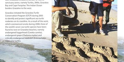 Gnaraloo Turtle Conservation Program monitoring endangered sea turtle rookeries