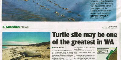 Turtle site may be one of the greatest in Western Australia