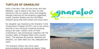 Turtles of Gnaraloo - Animal Ark