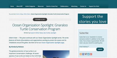 Ocean Organization Spotlight: Gnaraloo Turtle Conservation Program