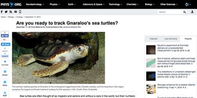 Are you ready to track Gnaraloo's sea turtles?