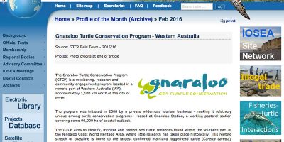 Profile of the Month - Gnaraloo Turtle Conservation Program - Western Australia