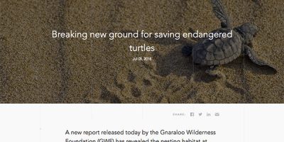 Breaking new ground for saving endangered turtles