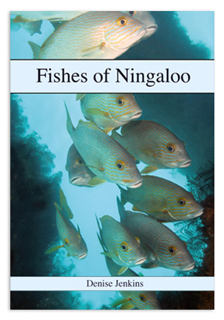 Fishes of Ningaloo by Denise Jenkins