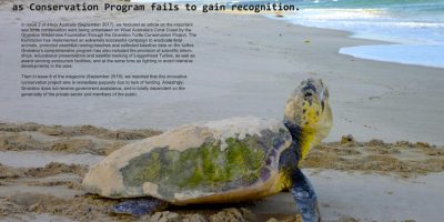 Turtles struggle to find a voice as Conservation Program fails to gain recognition
