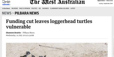 Funding cut leaves loggerhead turtles vulnerable