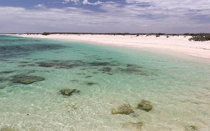 Gnaraloo Cape Farquhar Remains Exposed With World Heritage Values Being Lost